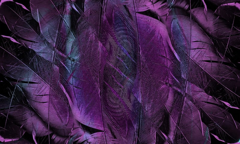 Natural Forms